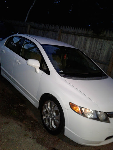 Pet Store «Petland Discounts - Elmont», reviews and photos, 1397 Hempstead Turnpike, Elmont, NY 11003, USA