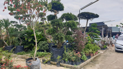 Riverview Flora Landscaping & Nursery Sdn Bhd