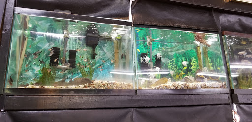 Tropical Fish Store «Two Turtles Pet Center», reviews and photos, 760 W Market St, Akron, OH 44303, USA