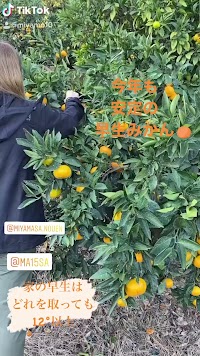 宮将農園