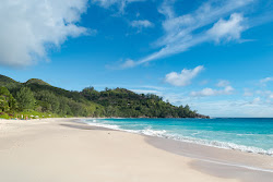 Φωτογραφία του Anse Intendance Beach ubicado en área natural