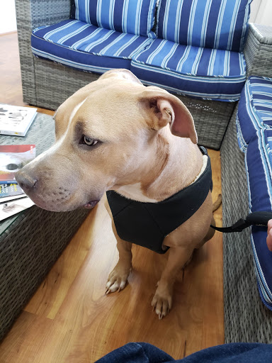 Sunrise Vet Hospital image