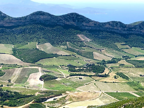 Arena Antoine marie à Patrimonio