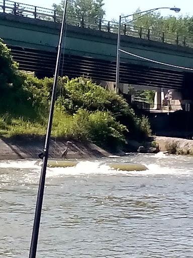 Golf Course «Irondequoit Country Club», reviews and photos, 4045 East Ave, Rochester, NY 14618, USA