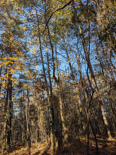 Nature Preserve «Davidson-Arabia Nature Preserve», reviews and photos, 3787 Klondike Rd, Lithonia, GA 30038, USA