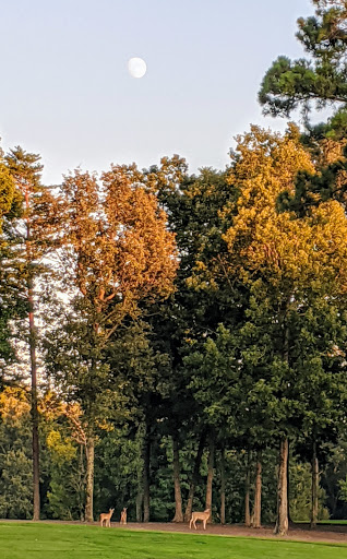 Golf Club «Kinloch Golf Club», reviews and photos, 100 Kinloch Ln, Manakin-Sabot, VA 23103, USA