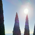 Photo n°1 de l'avis de Giuseppe.r fait le 07/01/2022 à 12:59 sur le  Relais Villa Monte Solare à Colle San Paolo