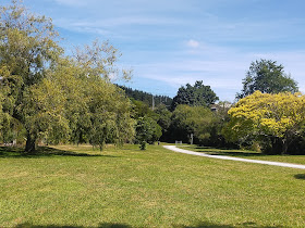 Te Haukaretu Park
