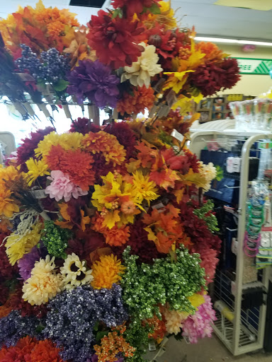 Dollar Store «Dollar Tree», reviews and photos, 3236 PA-940 #107, Mt Pocono, PA 18344, USA