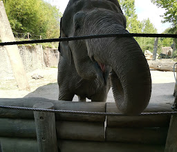 Allwetterzoo Münster photo