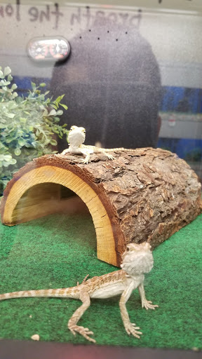 Pet Supply Store «Pet Supplies Plus», reviews and photos, 417 US-46, Dover, NJ 07801, USA