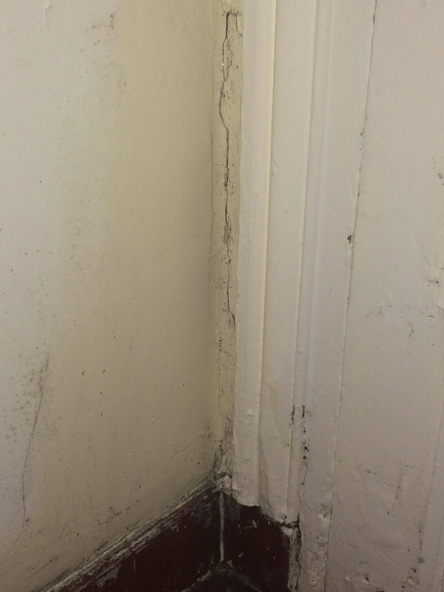 Photo n° 7 de l'avis de Pierre.o fait le 05/11/2018 à 00:03