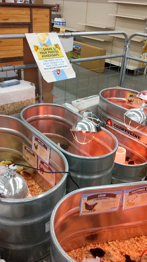 Home Improvement Store «Tractor Supply Co.», reviews and photos, 3400 Moody Pkwy, Moody, AL 35004, USA