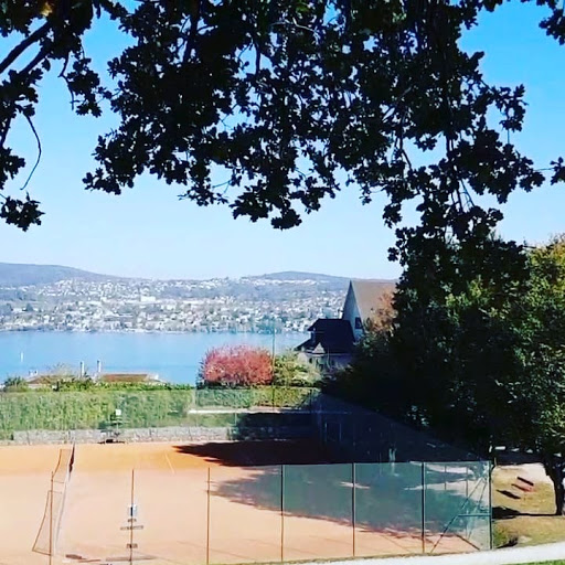 Parks with bar in Zurich