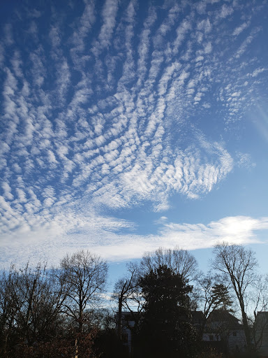 Recreation Center «Sevier Park Community Center», reviews and photos, 3021 Lealand Ln, Nashville, TN 37204, USA