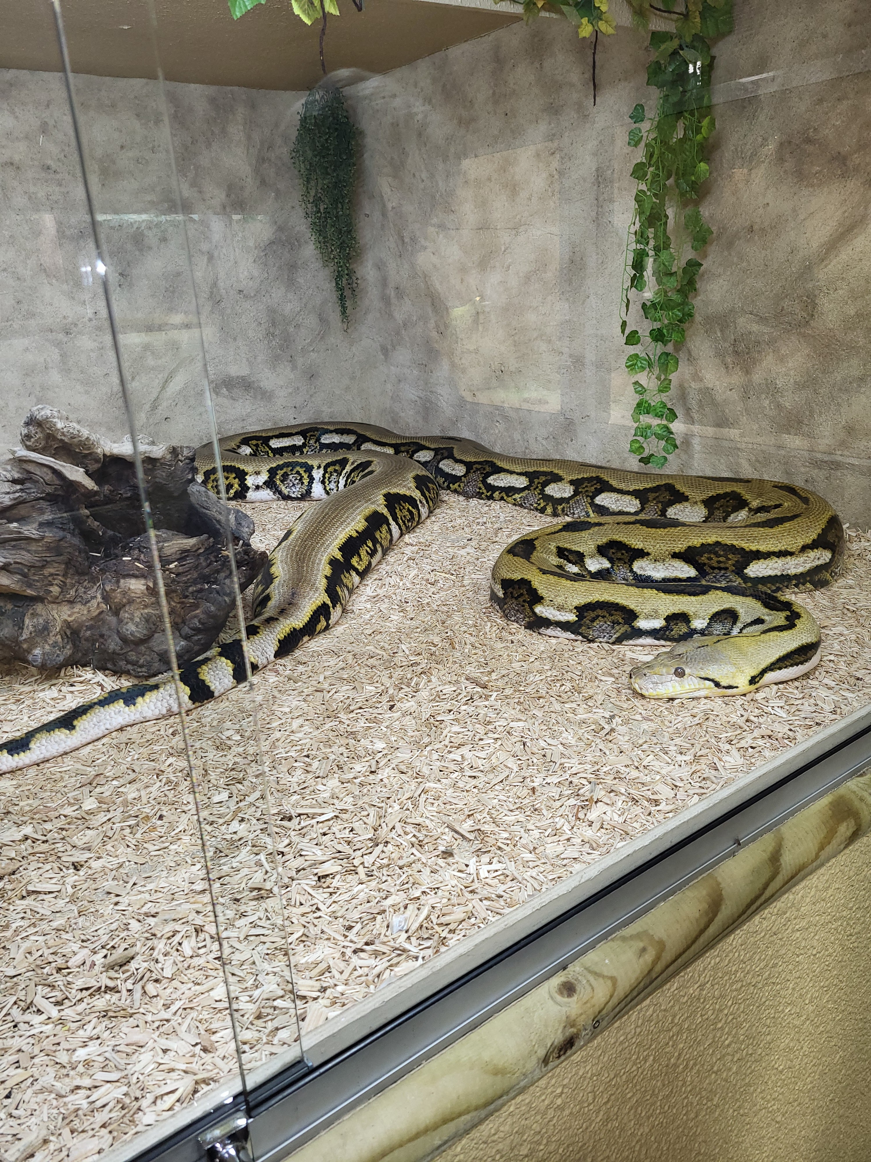 Photo n° 1 de l'avis de Cor.a fait le 11/06/2023 à 11:44