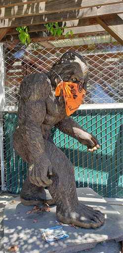 Hardware Store «Sebastopol Hardware Ctr», reviews and photos, 660 Gravenstein Hwy N, Sebastopol, CA 95472, USA