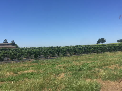 Produce Market «Clements Ridge Produce», reviews and photos, 23225 CA-88, Clements, CA 95227, USA