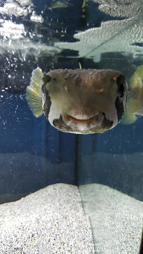 Pet Supply Store «CountryMax - Geneseo», reviews and photos, 4101 Lakeville Rd, Geneseo, NY 14454, USA