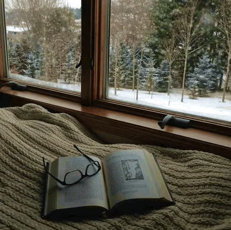 Book Store «Books Galore», reviews and photos, 411 W Main St, Festus, MO 63028, USA