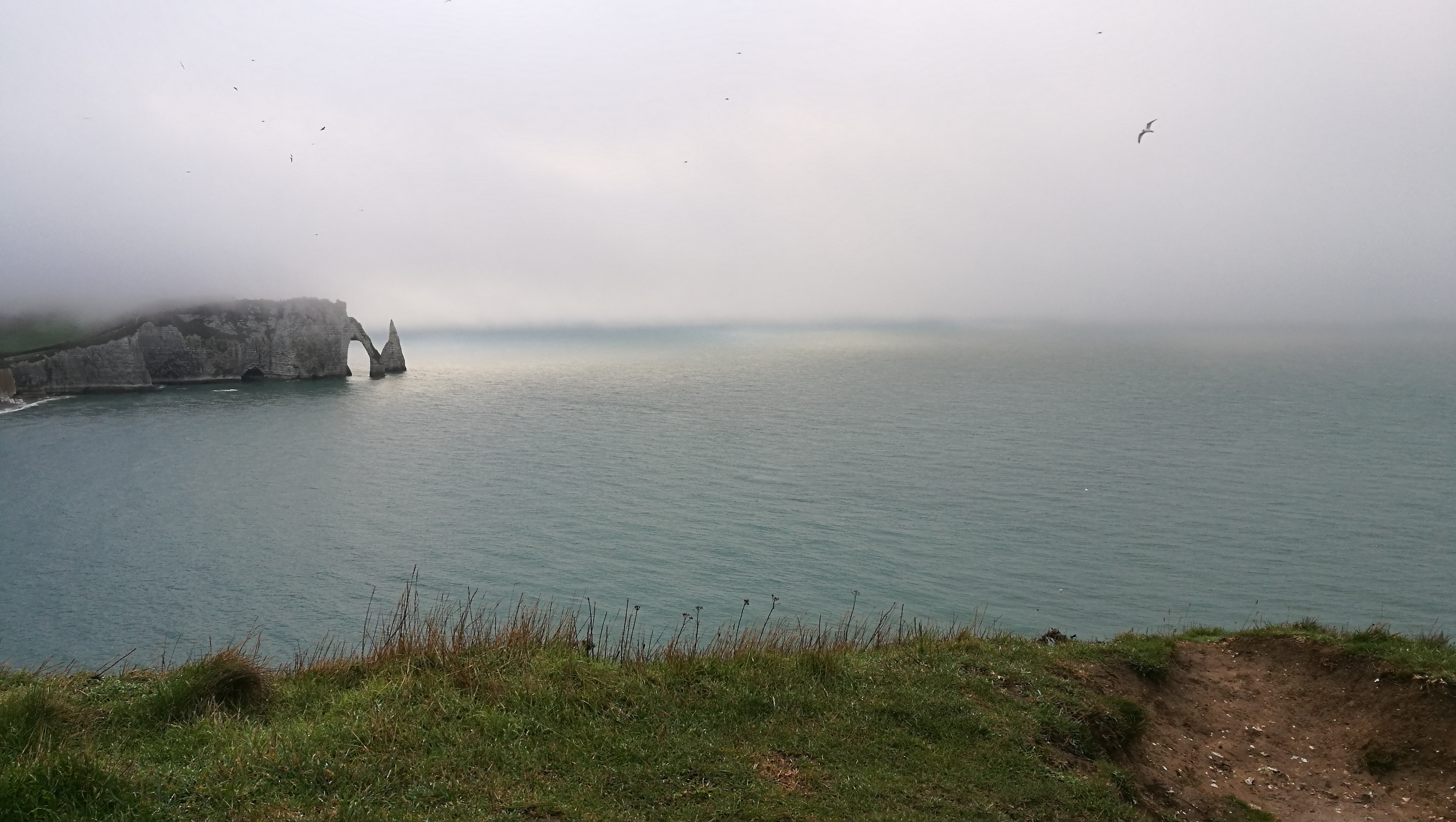 Photo n° 3 de l'avis de Amélie.G fait le 07/01/2019 à 11:03