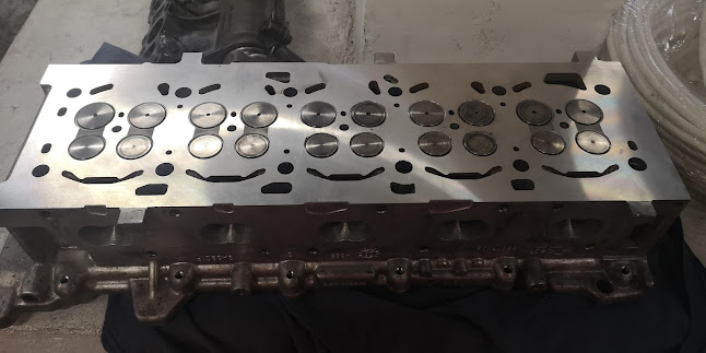 Comentarii opinii despre Hangyaboly