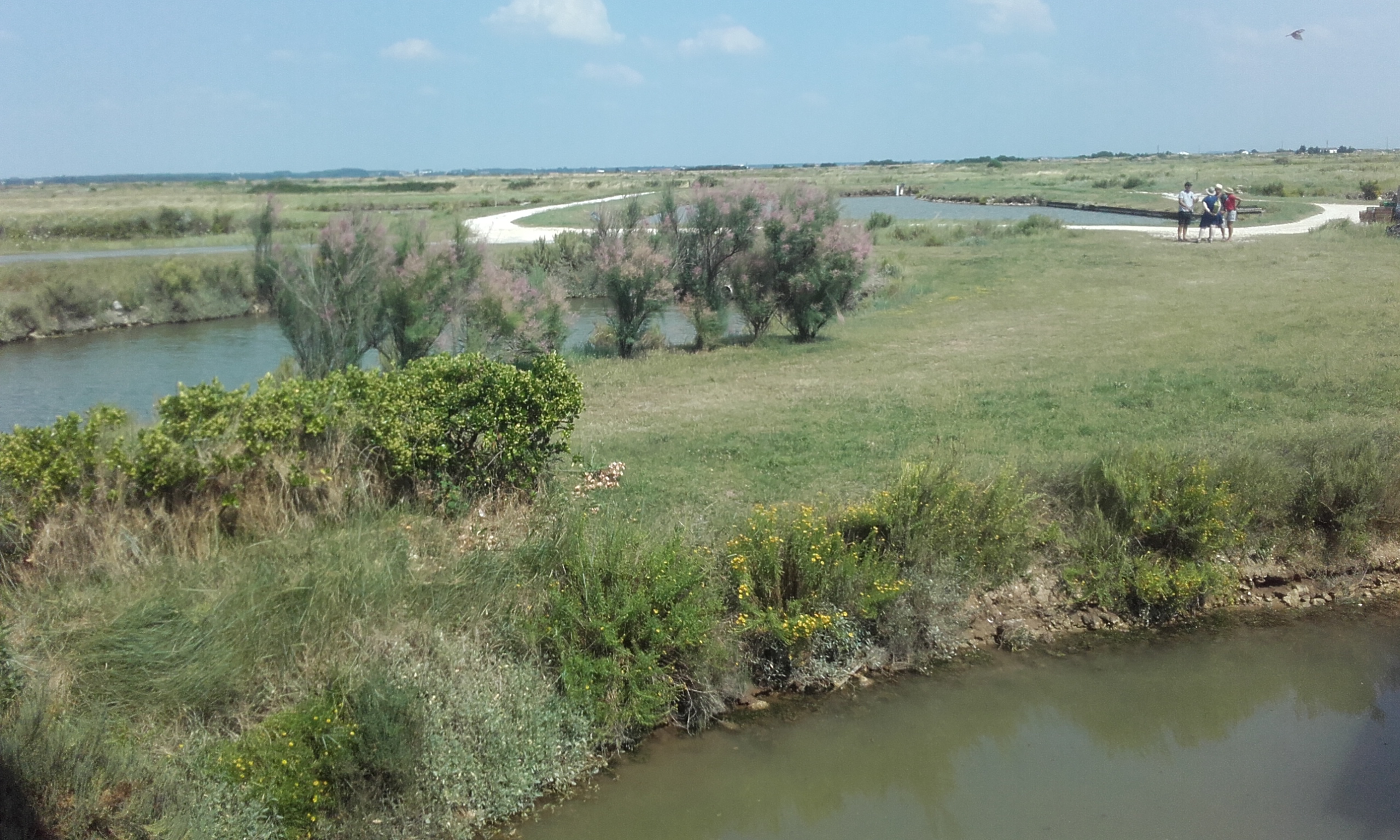 Photo n° 1 de l'avis de Didier.o fait le 26/07/2018 à 09:56