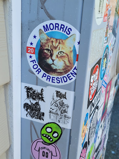 Record Store «Bull Moose», reviews and photos, 219 Waterman Dr, South Portland, ME 04106, USA