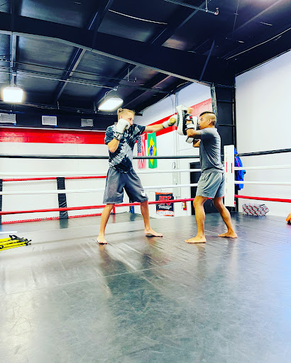 Gym «UFC Gym», reviews and photos, 28784 US-19, Clearwater, FL 33761, USA