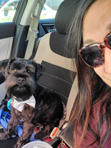 Pet Groomer «Dog Gone Cute Grooming & Bowtique», reviews and photos, 446 Racetrack Rd NW Unit F, Fort Walton Beach, FL 32547, USA