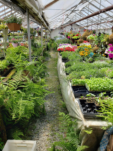 Florist «Orting Floral And Greenhouse», reviews and photos, 117 Eldredge Ave NW, Orting, WA 98360, USA