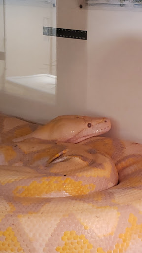 Pet Store «Pet Kingdom», reviews and photos, 3191 Sports Arena Blvd, San Diego, CA 92110, USA