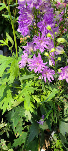 Home Improvement Store «The Home Depot», reviews and photos, 5900 Airport Hwy, Toledo, OH 43615, USA