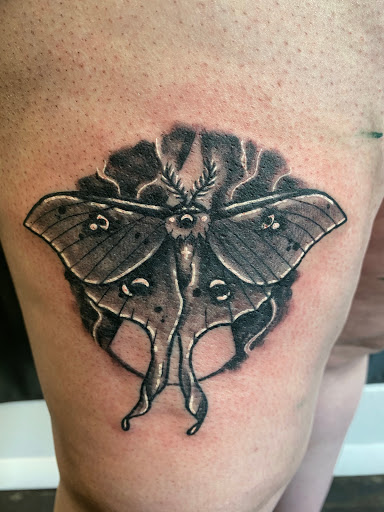 Explore lioness tattoo ideas for females, creative tattoo ideas in Logan, available at Surreal Ink Tattoo & Body Piercing