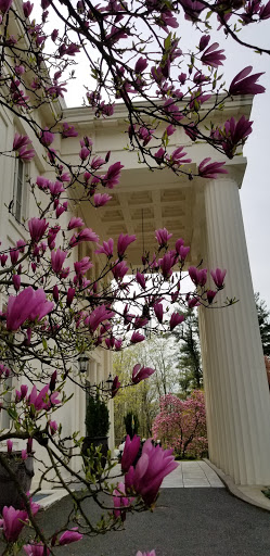 Wedding Venue «The Wadsworth Mansion at Long Hill», reviews and photos, 421 Wadsworth St, Middletown, CT 06457, USA