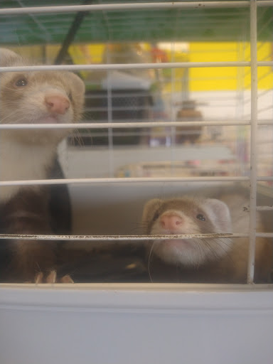 Pet Supply Store «Pet Partners», reviews and photos, 1962 W State St, Bristol, TN 37620, USA