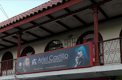 Ariel Castillo Academia