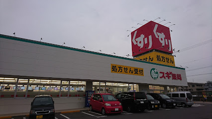 スギ薬局 刈谷松栄店
