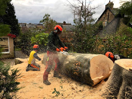 Newlands Tree Surgeons & Landscaping Solutions