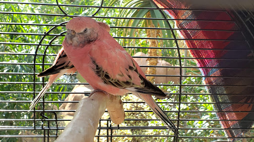 Botanical Garden «Mitchell Park Horticultural Conservatory», reviews and photos, 524 S Layton Blvd, Milwaukee, WI 53215, USA