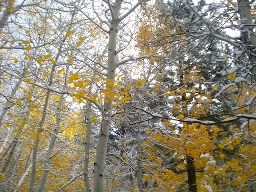 Country Club «The Club at ArrowCreek», reviews and photos, 2905 Arrowcreek Pkwy, Reno, NV 89511, USA