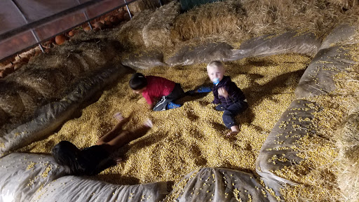 Produce Market «Kuwahara Farms», reviews and photos, 736 12300 S, Draper, UT 84020, USA