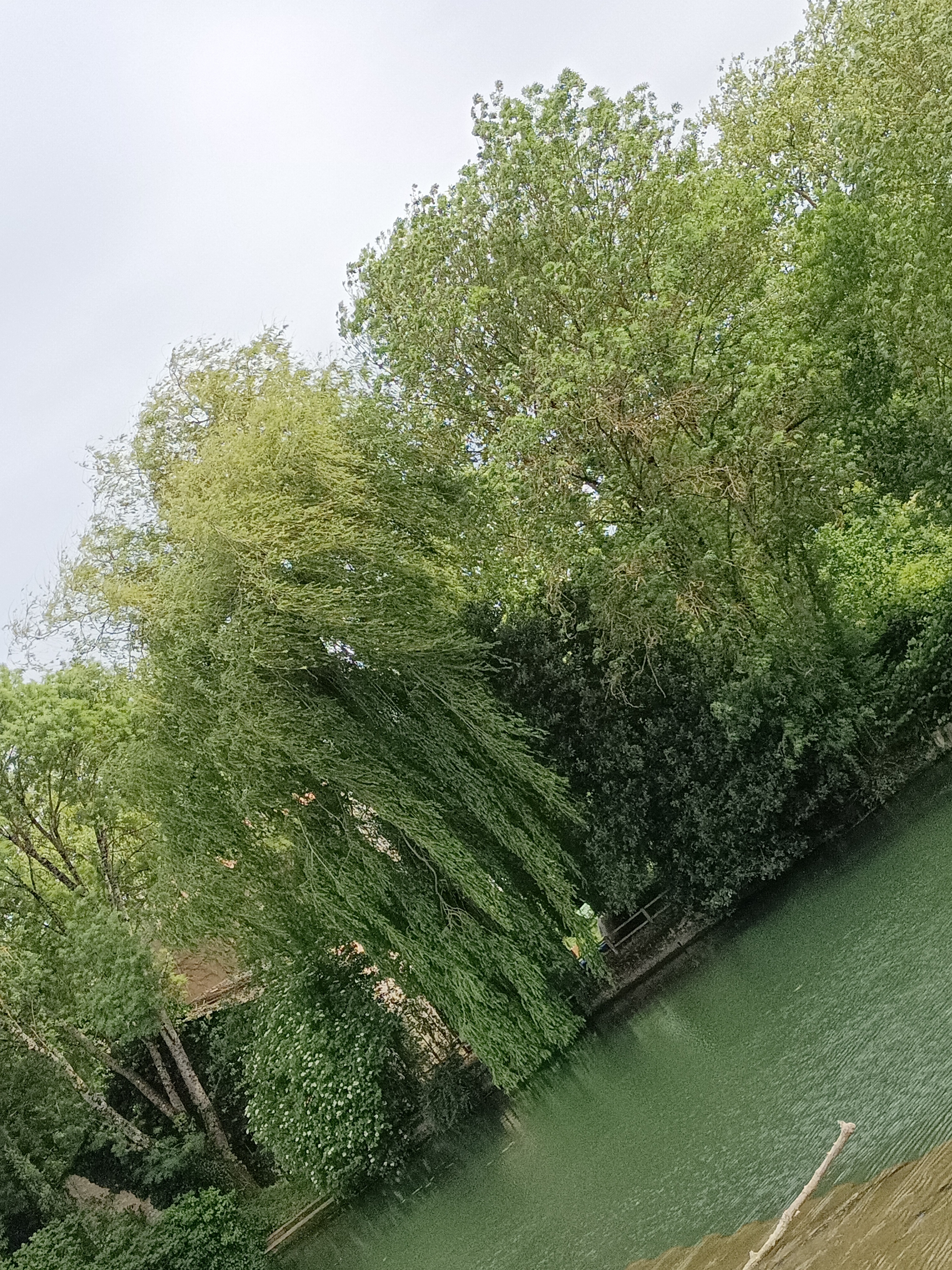 Photo n° 2 de l'avis de sandrine.a fait le 18/05/2023 à 21:16