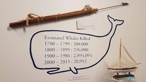 Museum «Houston Maritime Museum», reviews and photos, 2204 Dorrington St, Houston, TX 77030, USA