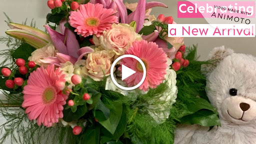 Florist «Paul Douglas Floral Designs», reviews and photos, 130 King St, Cohasset, MA 02025, USA