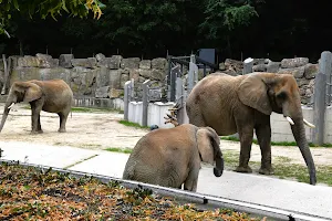 Elefanten-Spezialitäten image