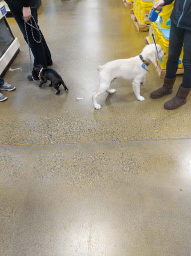 Pet Supply Store «PetSmart», reviews and photos, 9589 Ridgetop Blvd NW, Silverdale, WA 98383, USA