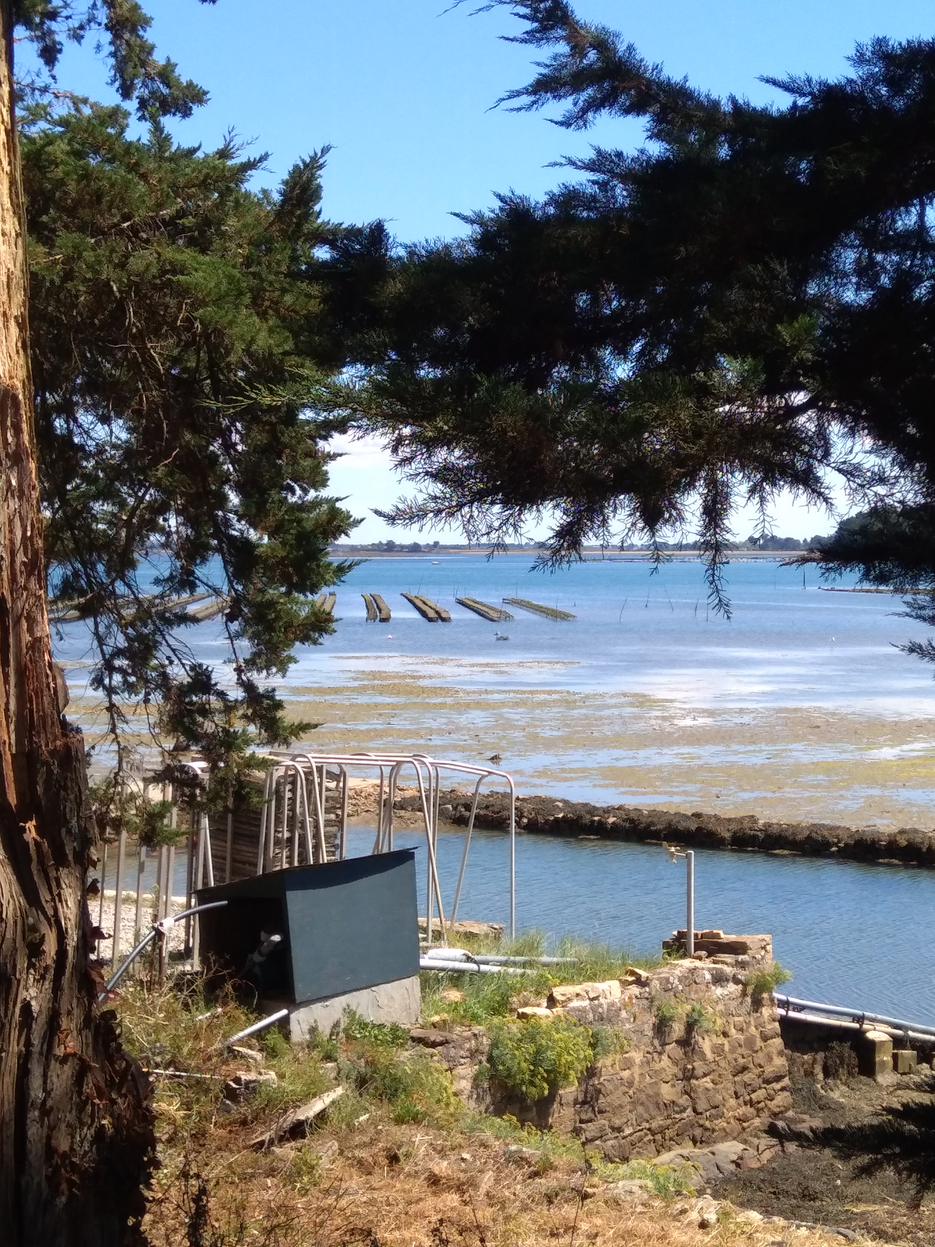 Photo n° 3 de l'avis de Marjolaine. fait le 05/08/2020 à 14:03