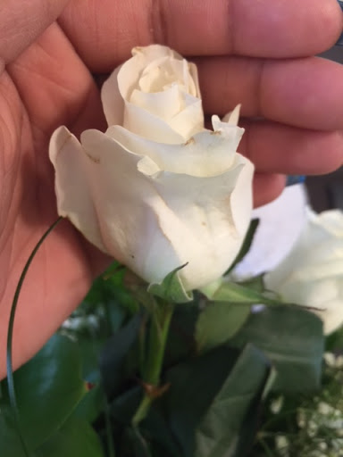 Florist «A Touch of Class Florist-Gifts», reviews and photos, 576 Fairview Rd, Stockbridge, GA 30281, USA