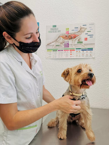 Clínica Veterinaria Capdevila en Pallejà